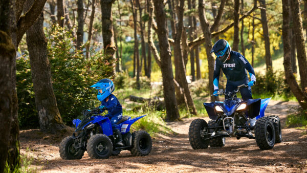 Yamaha YFZ 50 - Afbeelding 5