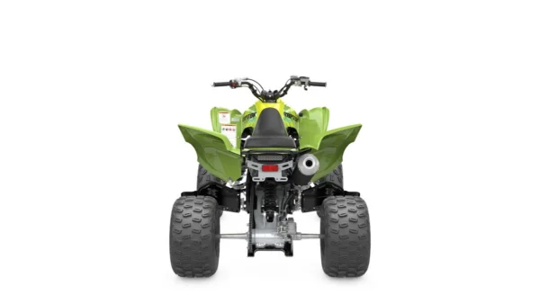 YFM Raptor 700R SE - Afbeelding 4