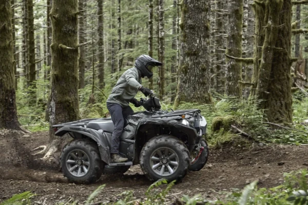 Grizzly 700 EPS XT-R - Image 6