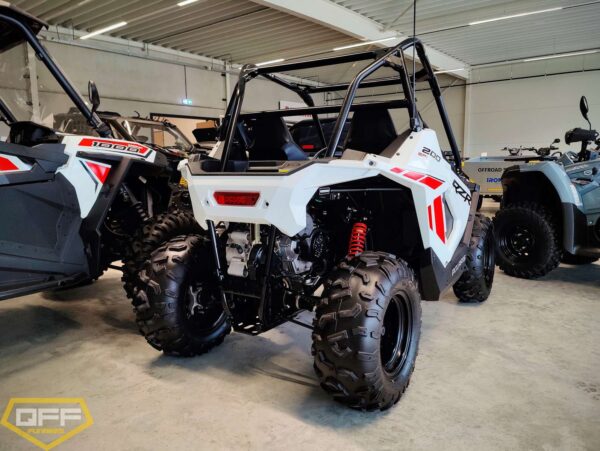 RZR 200 DEMO - Image 4